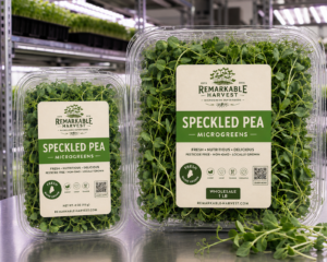 Speckled Pea Microgreens