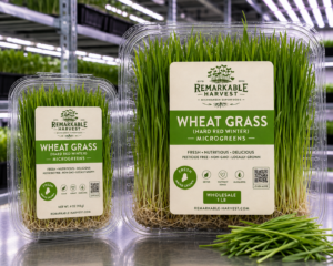 Wheat Grass (Hard Red Winter)